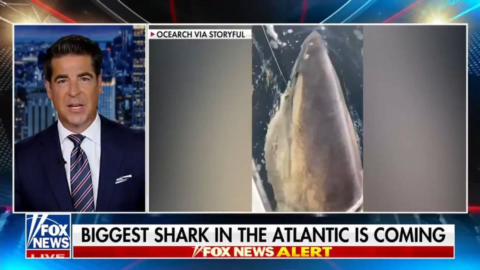 Jesse Watters: This is one big fish!