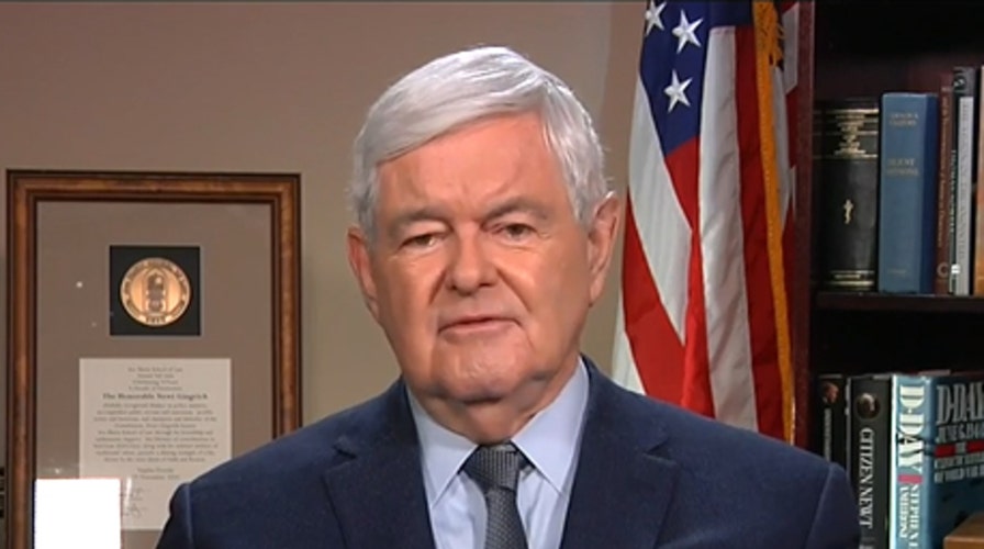 Newt: Democrat party is a radical socialist party that makes you feel good