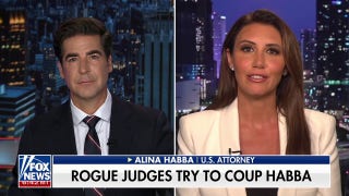 Alina Habba: Trying to doxx ICE agents is unacceptable