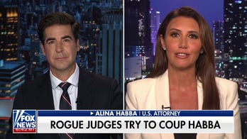 Alina Habba: Trying to doxx ICE agents is unacceptable
