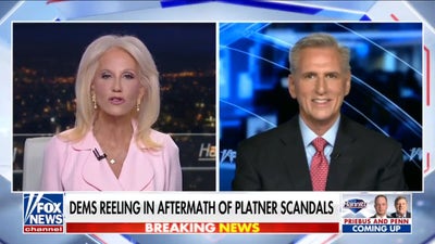 Kevin McCarthy: The Democratic Party has 'lost it'