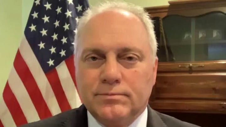 House Minority Whip Steve Scalise on Dems divided over spending bills 