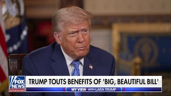 Trump on Democrats: They only do 1 thing well