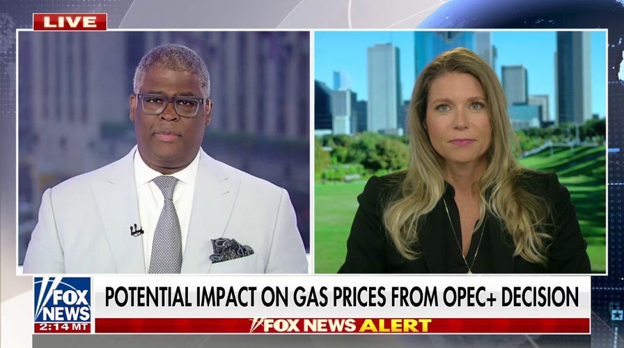 This is OPEC's 'smallest increase' ever: CEO