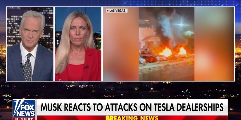 Elon Musk's biggest fans are now his biggest haters, says Nicole Parker
