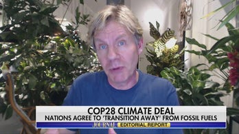 The high cost of green