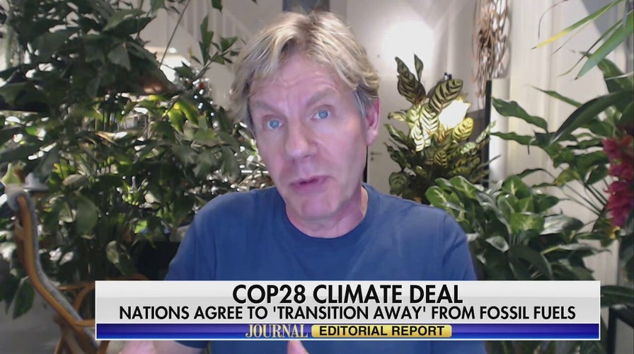 The high cost of green