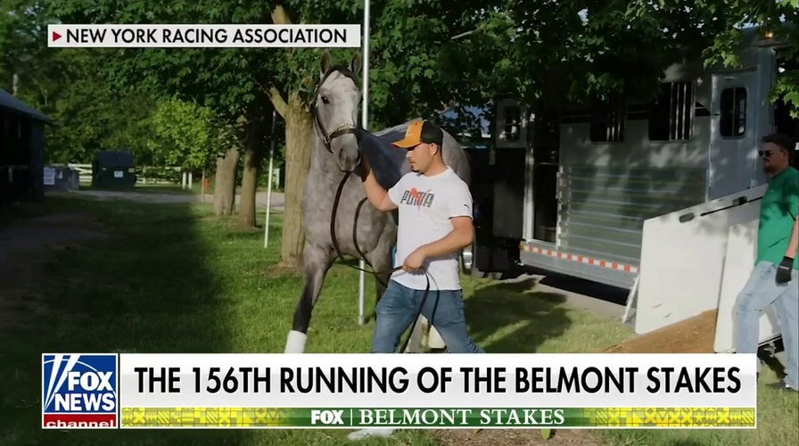 Seize the Grey horse has 2,500+ owners through MyRacehorse ownership app