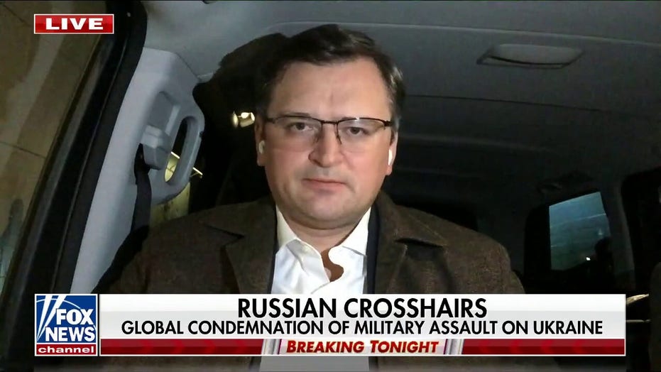 Ukrainian foreign minister calls Russian war on Ukraine 'crazy, illegitimate'