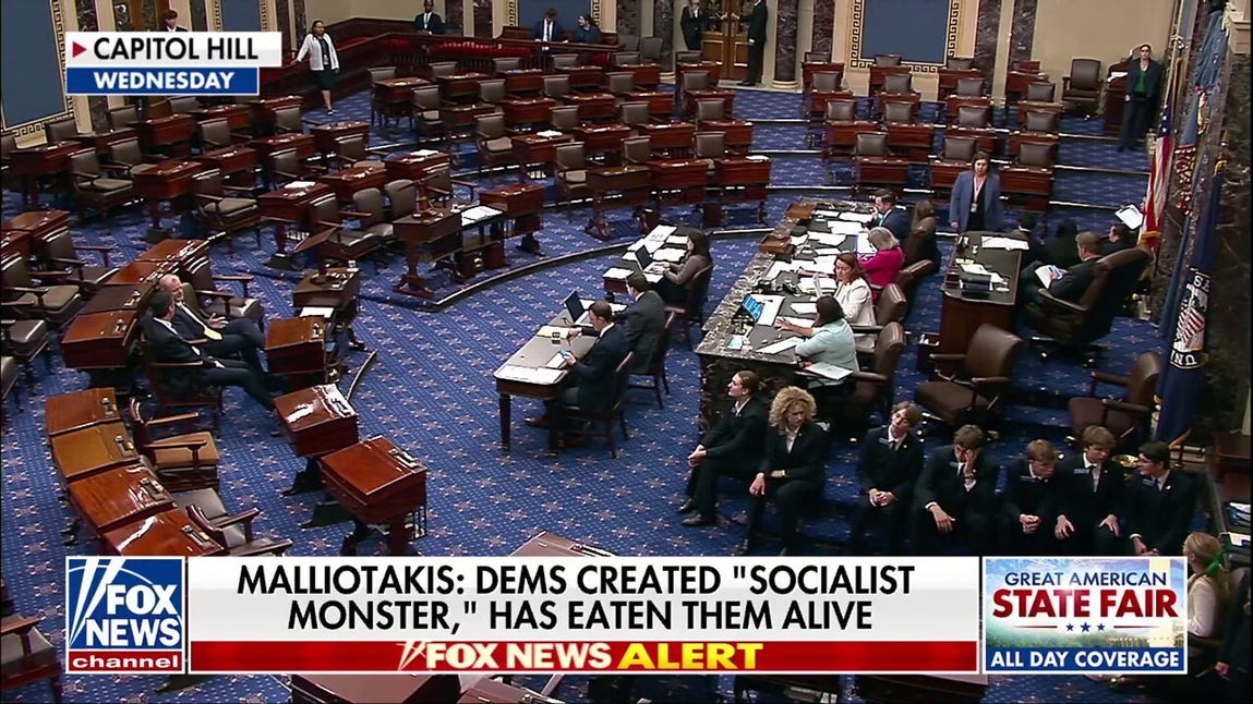 Democratic socialist victories bring the future of the party into question ahead of midterms
