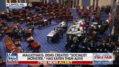 Democratic socialist victories bring the future of the party into question ahead of midterms