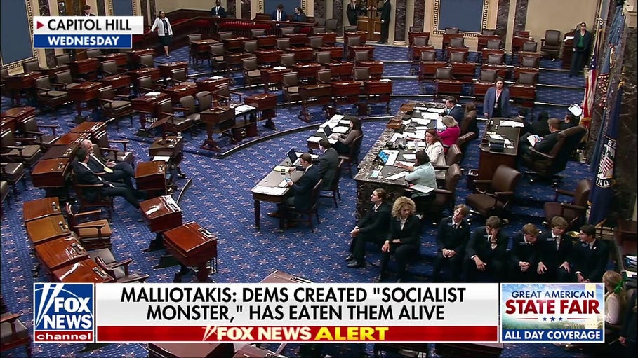Democratic socialist victories bring the future of the party into question ahead of midterms