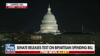 Senate releases long-awaited text of bipartisan border deal - Fox News