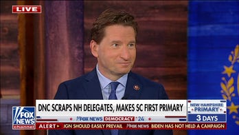 ‘Ridiculous’ that Biden is not on NH Democratic primary ballot: Dean Phillips