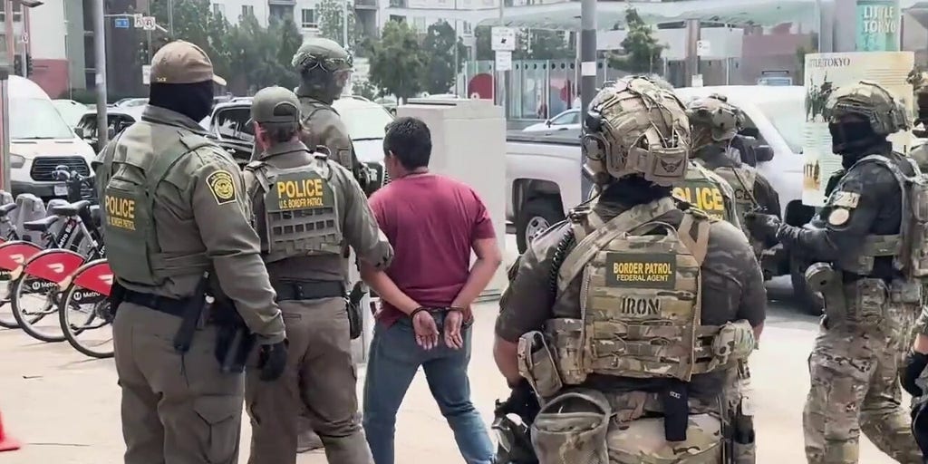 US Border Patrol agents make arrest outside Gavin Newsom anti-Trump rally | Fox News Video