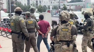 US Border Patrol agents make arrest outside Gavin Newsom anti-Trump rally