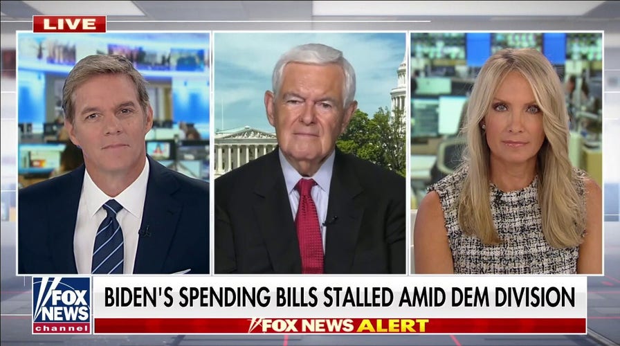 Newt Gingrich accuses Democrats of holding 'massive' spending bill 'hostage'