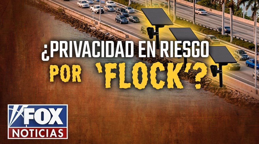 ¿Vigilancia Masiva? Florida Ordena Retirar Cámaras ‘Flock’