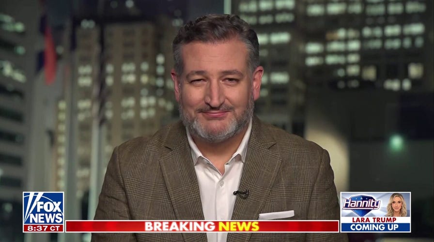  I think the Biden loyalists are ‘mad’: Sen. Ted Cruz