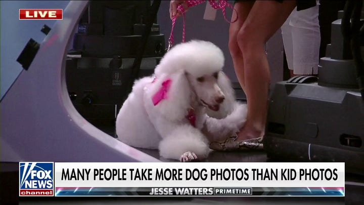 Pet parents take more pictures of dogs than children: Study