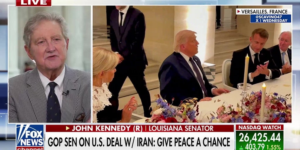 Iran is a 'hurting puppy,' Sen John Kennedy says