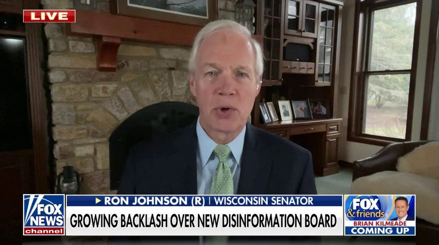 Radical left has ‘completely taken over’ the Democrat Party: Sen. Ron Johnson