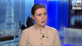 Lithuanian defense minister voices deep distrust of Putin’s intentions