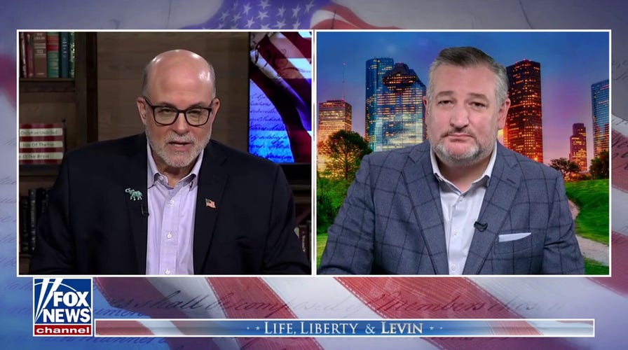 Ted Cruz: The government will reopen when Schumer's 'temper tantrum' ends