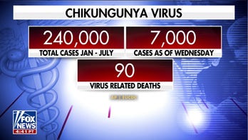 U.S. issues travel warning for chikungunya virus 