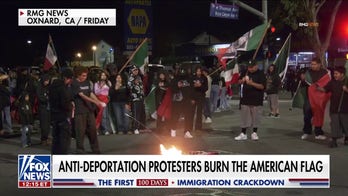 Anti-Trump protesters shut down LA freeway, burn the American flag