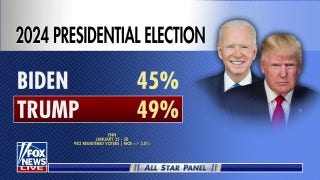 Trump, Biden polling data suggest various 2024 election outcomes - Fox News
