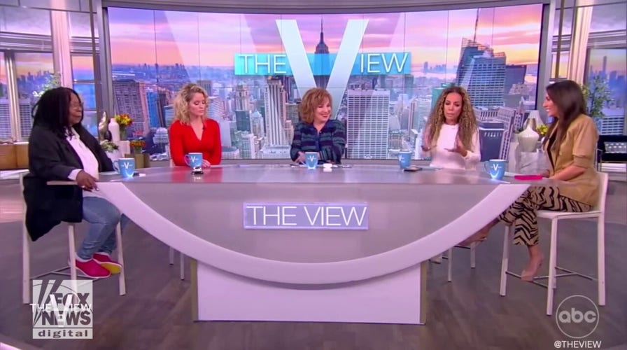 ‘The View’ defends ‘nepo babies’ in debate: 'Nepotism has been going on all over the place'