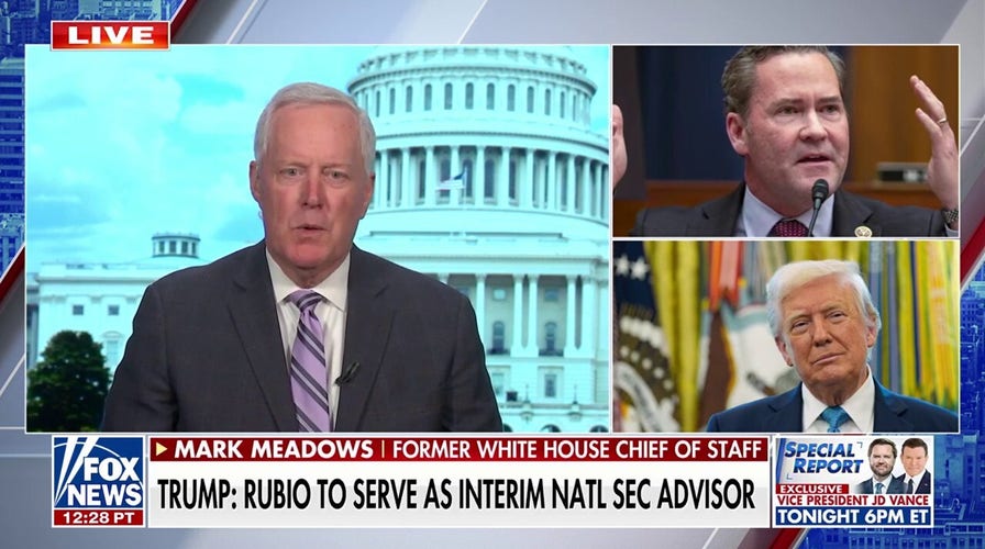 Former White House leader explains 'small conflicts' within Trump admin amid Michael Waltz shakeup