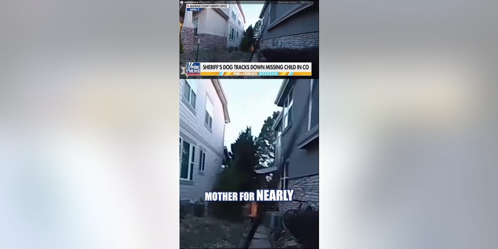 WATCH: Sheriff’s dog tracks down missing child in Colorado