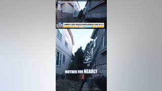 WATCH: Sheriff’s dog tracks down missing child in Colorado