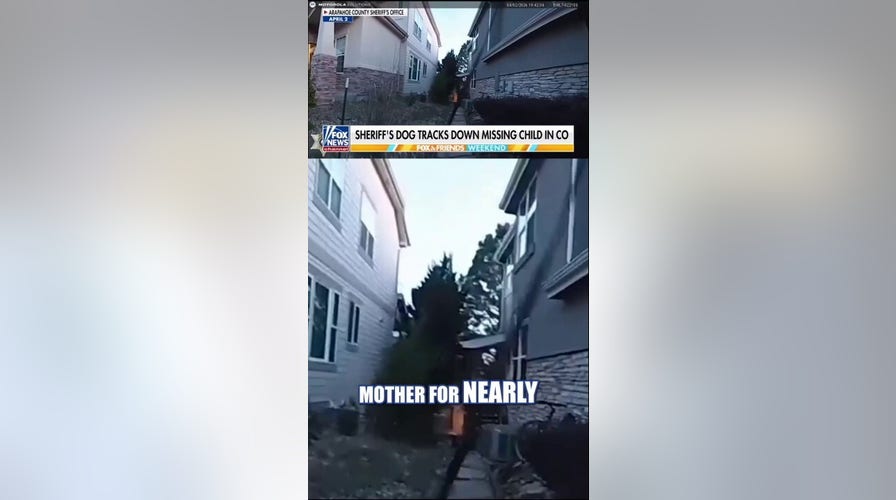 WATCH: Sheriff’s dog tracks down missing child in Colorado