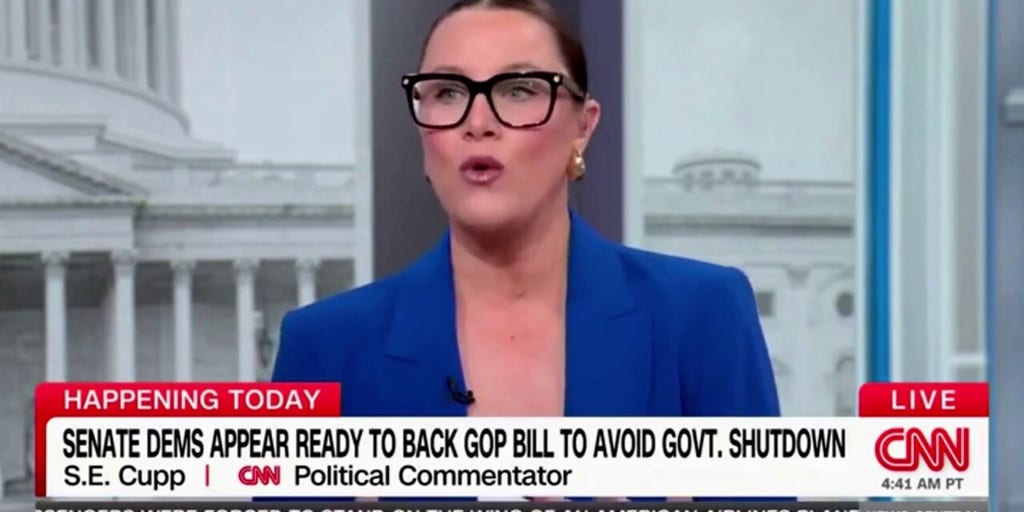 CNN commentator S.E. Cupp says ‘Democrats are a mess’