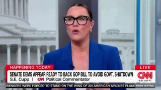 CNN commentator S.E. Cupp says ‘Democrats are a mess’