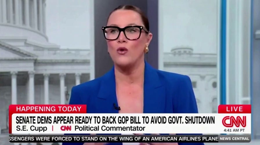 CNN commentator S.E. Cupp says ‘Democrats are a mess’