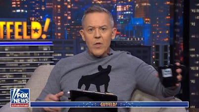 Gutfeld: Sunny sounds like she is guilty