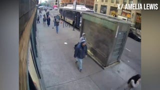 NYU student allegedly assaulted on way to class, video shows