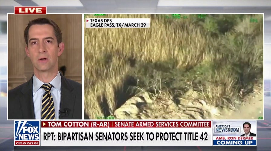 Sen. Cotton on border crisis: ‘No precedent’ on the amount of illegal immigrants crossing everyday