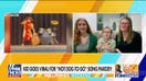 'Hot Dog To Go’ song parody goes viral on social media