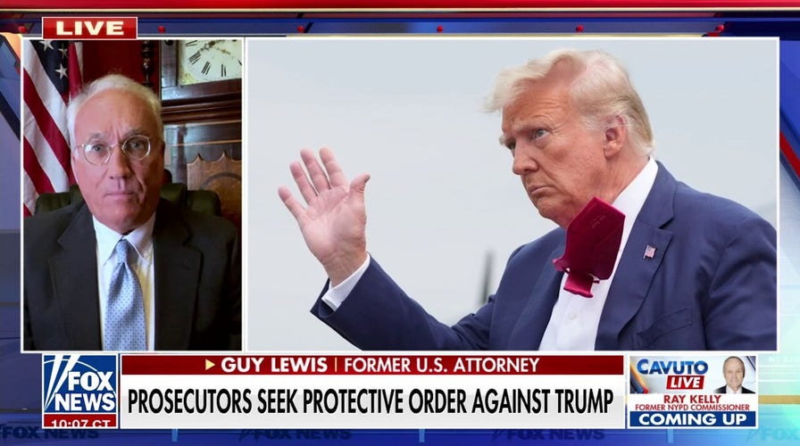 Trump case special prosecutor is 'way, way out over his skis': Guy Lewis