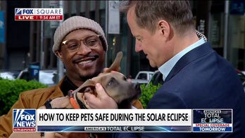 Caring for your pets during the total solar eclipse