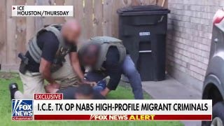 ICE Texas operation nabs high-profile migrant criminals