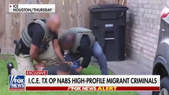 ICE Texas operation nabs high-profile migrant criminals