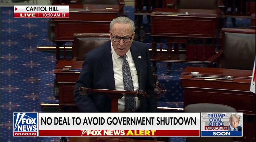 House Democrats' government funding proposal goes down in flames with shutdown deadline in hours
