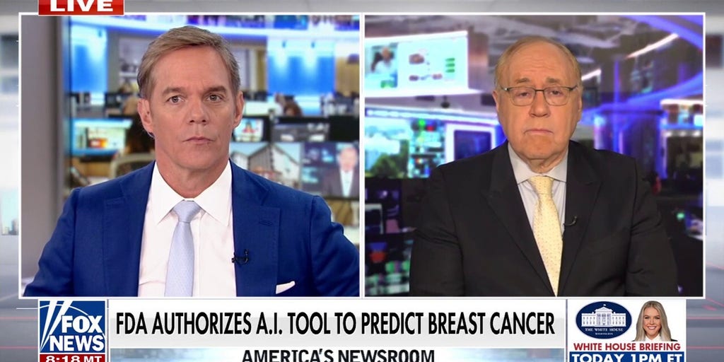 FDA authorizes AI tool to predict breast cancer risk