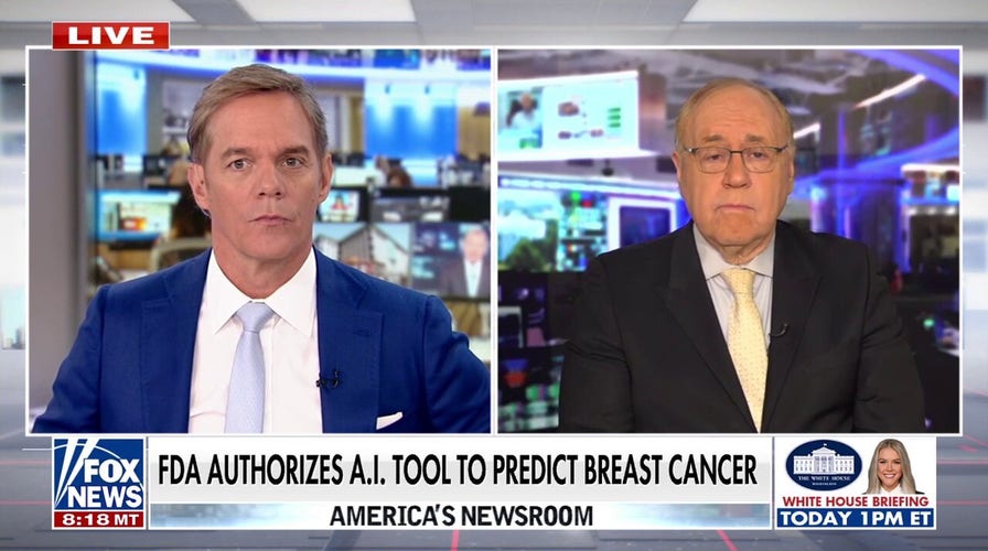 FDA authorizes AI tool to predict breast cancer risk